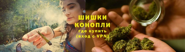 дживик Горняк