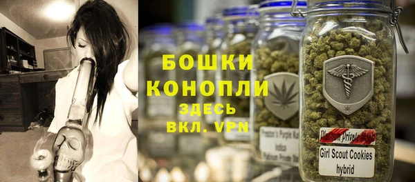 дживик Горняк