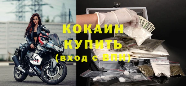 дживик Горняк