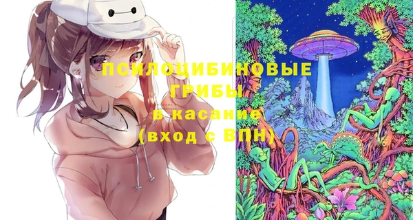 дживик Горняк